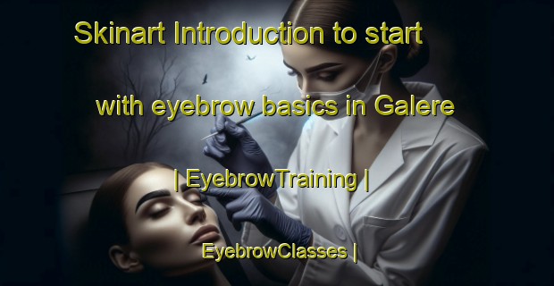 Skinart Introduction to start with eyebrow basics in Galere | EyebrowTraining | EyebrowClasses | SkinartTraining-Burkina Faso